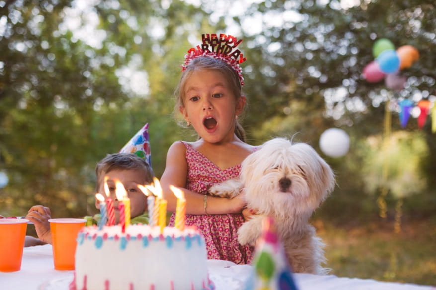 Entertaining Ideas for Your Child's Next Birthday Party!
